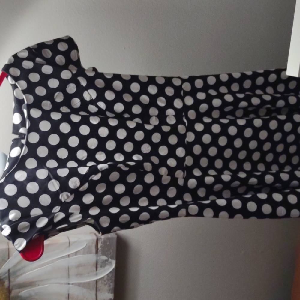 Vintage Polkadot Dress